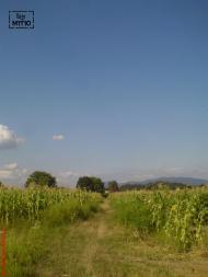 Королево з panoramio.com