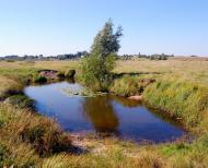 Ялцівка з panoramio.com - Ялцовка