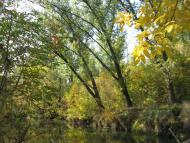 Троїцько-Харцизьк з panoramio.com