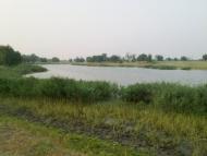 Іванівка з panoramio.com