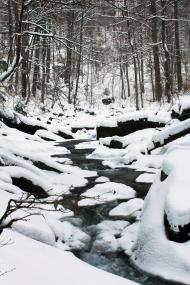 Лумшори з panoramio.com