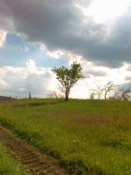 Українськ з panoramio.com