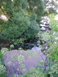 Рогізна з panoramio.com