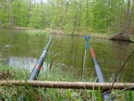 Перлявка з panoramio.com