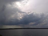 Березина з panoramio.com