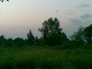 Будилка з panoramio.com