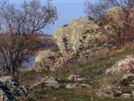 Новорозанівка з panoramio.com