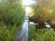 Сорока - Последние фото