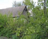 Юрківка з panoramio.com