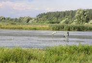 Зноб-Новгородське з panoramio.com