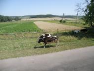 Якторів з panoramio.com