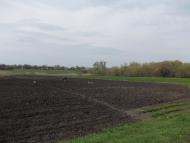 Червоний Орлик з panoramio.com