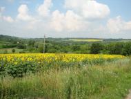 Погибляк з panoramio.com