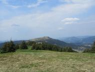 Ялинкувате з panoramio.com