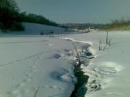 Федорівка з panoramio.com