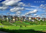 Підгородне з panoramio.com