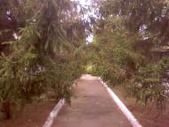 Кринички з panoramio.com