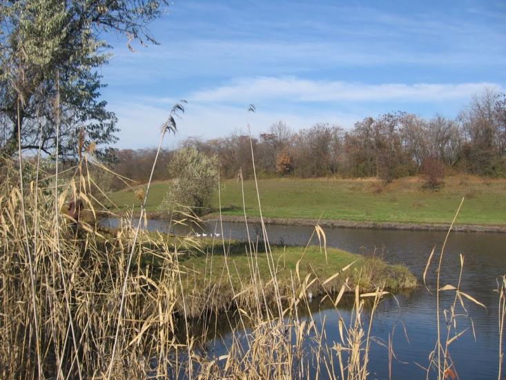 Христофорівка з panoramio.com - Христофоровка