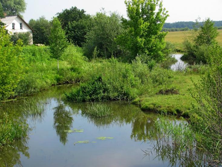 Хотин з panoramio.com - Хотин