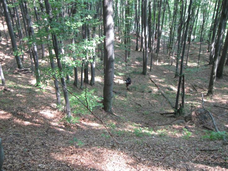 Сопки з panoramio.com - Сопки