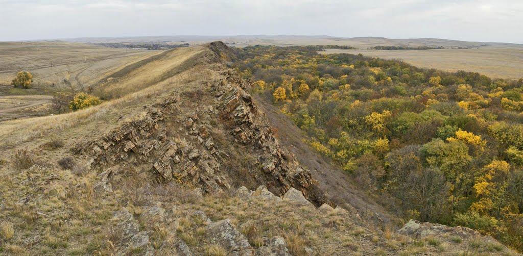 Черемшине з panoramio.com - Черемшино
