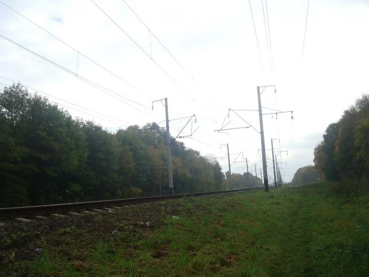 Малашівці з panoramio.com - Малашевцы