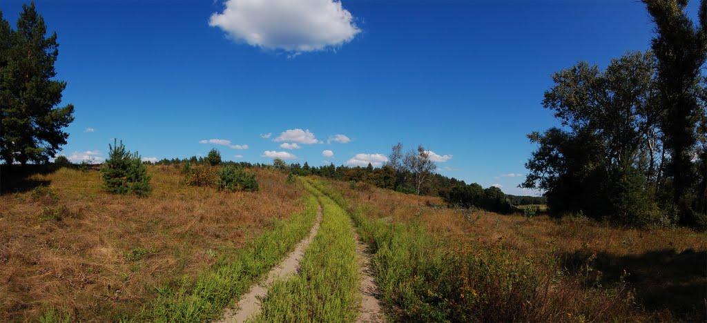 Норцівка з panoramio.com - Норцовка