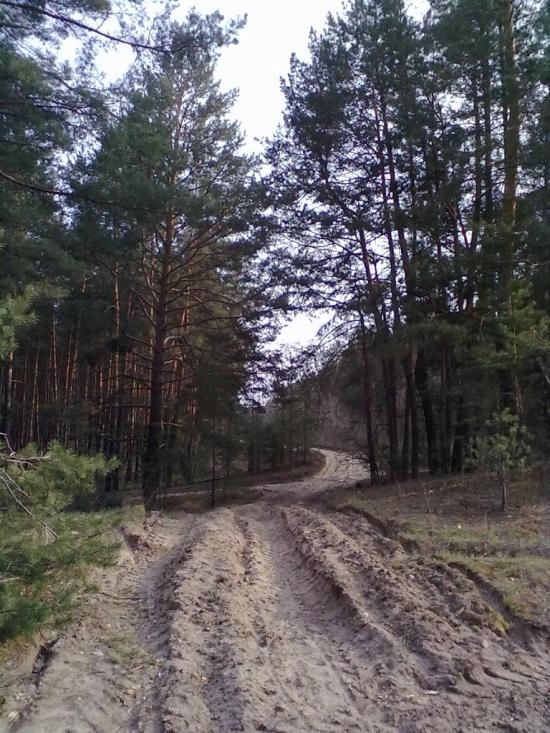 Підлиман з panoramio.com - Подлиман