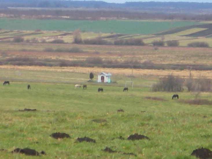 Ковиничі з panoramio.com - Ковиничі