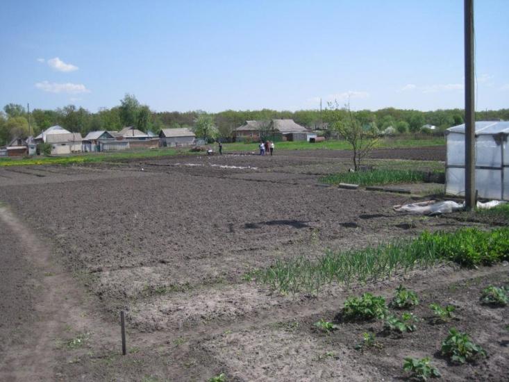 Наталине з panoramio.com - Natalyne