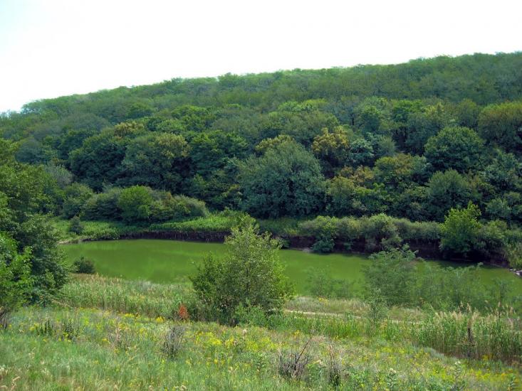 Придніпрянське з panoramio.com - Приднепрянское