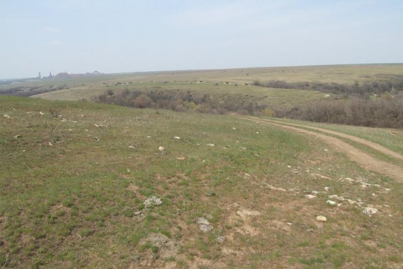 Данилове з panoramio.com - Danylove