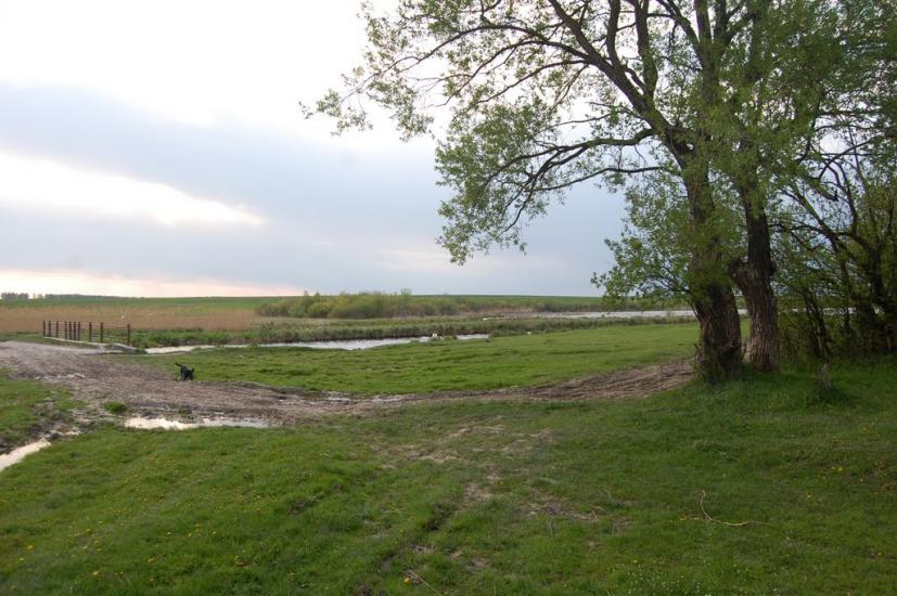 Рогізне з panoramio.com - Рогозное