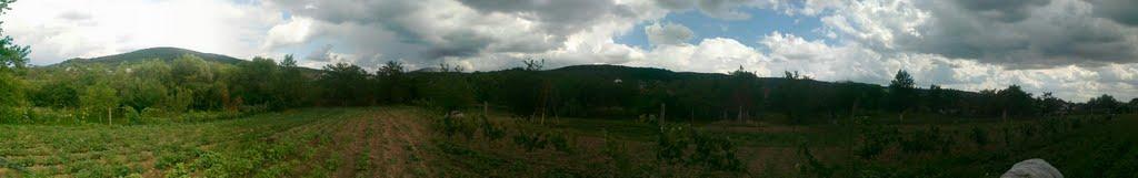 Дюла з panoramio.com - Дюла