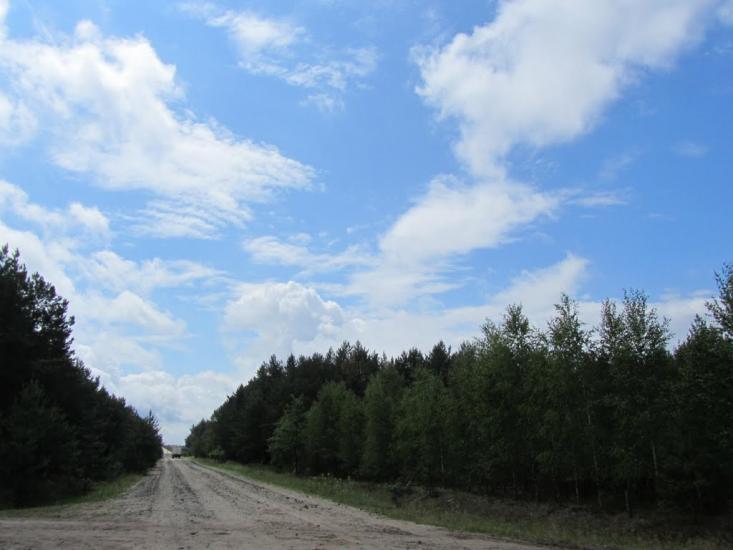 Самари-Оріхові з panoramio.com - Самари-Оріхові