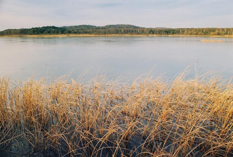 Івано-Франкове з panoramio.com - Ivano-Frankove