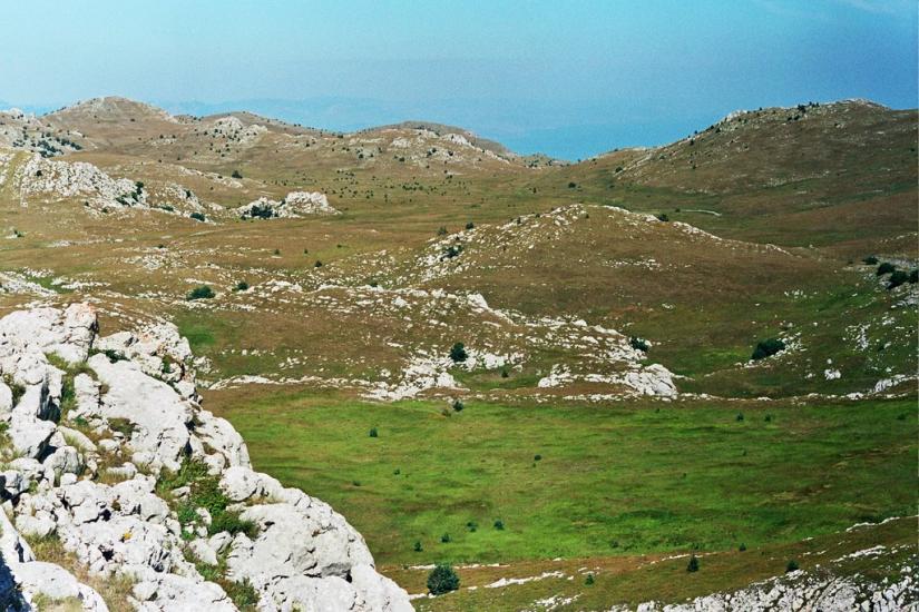 Запрудне з panoramio.com - Запрудне