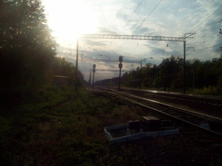 Проліски з panoramio.com - Prolisky