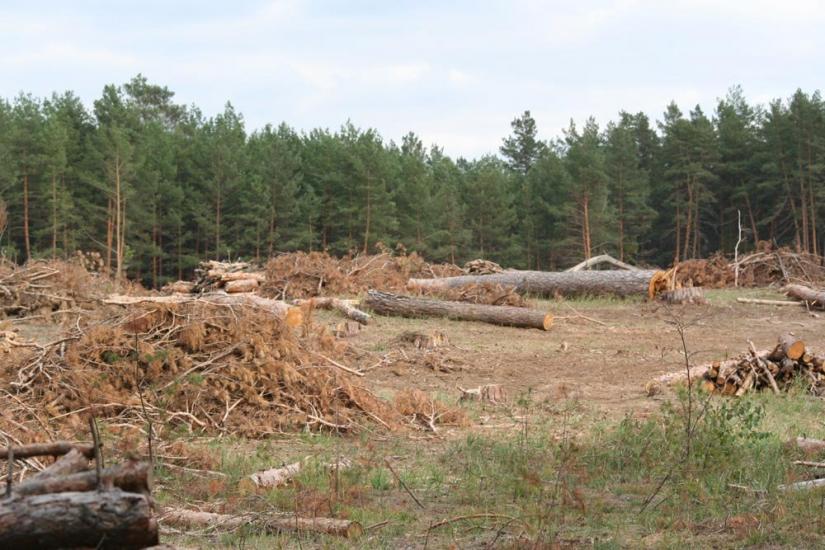 Андріївка з panoramio.com - Андріївка