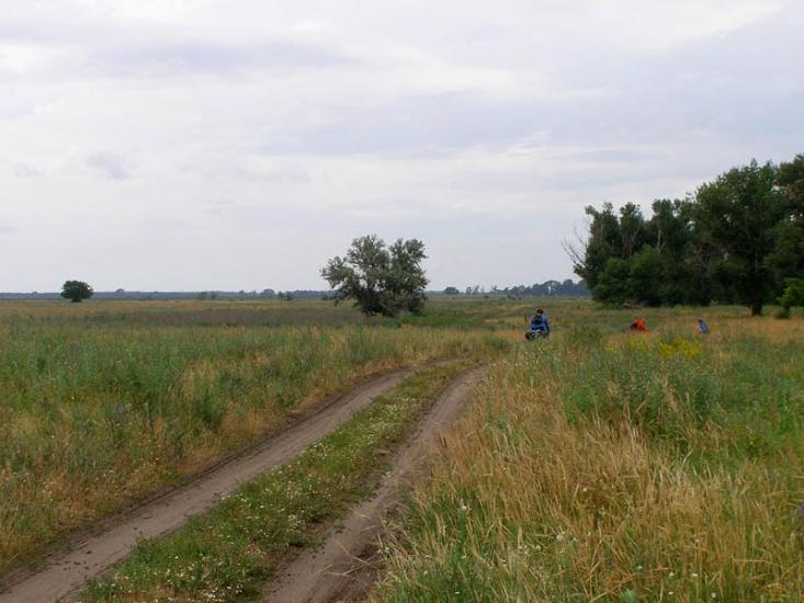 Єлизаветівка з panoramio.com - Yelyzavetivka