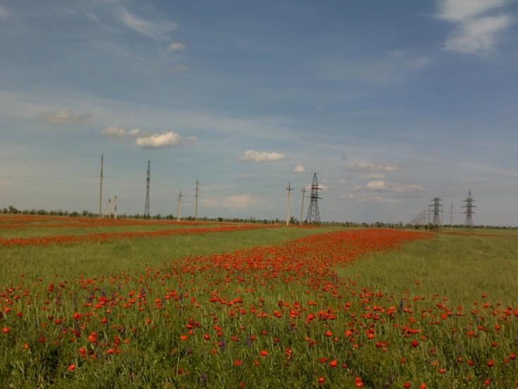 Воробйове з panoramio.com - Воробйове