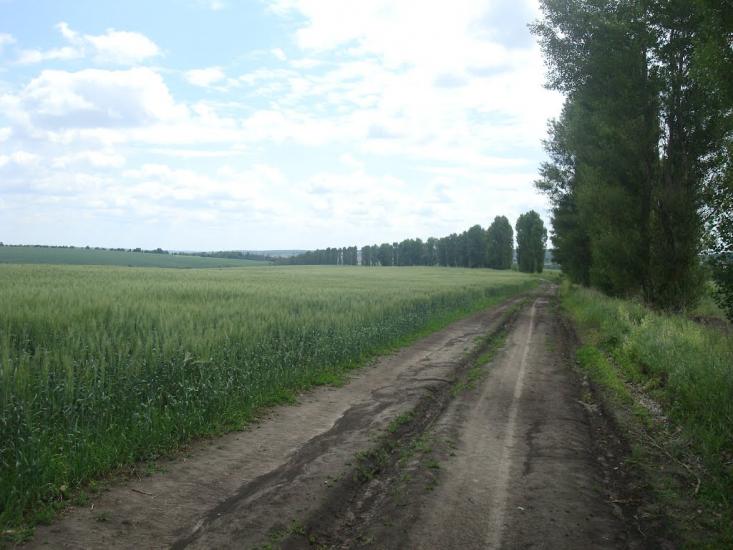 Давидківці з panoramio.com - Давыдковцы