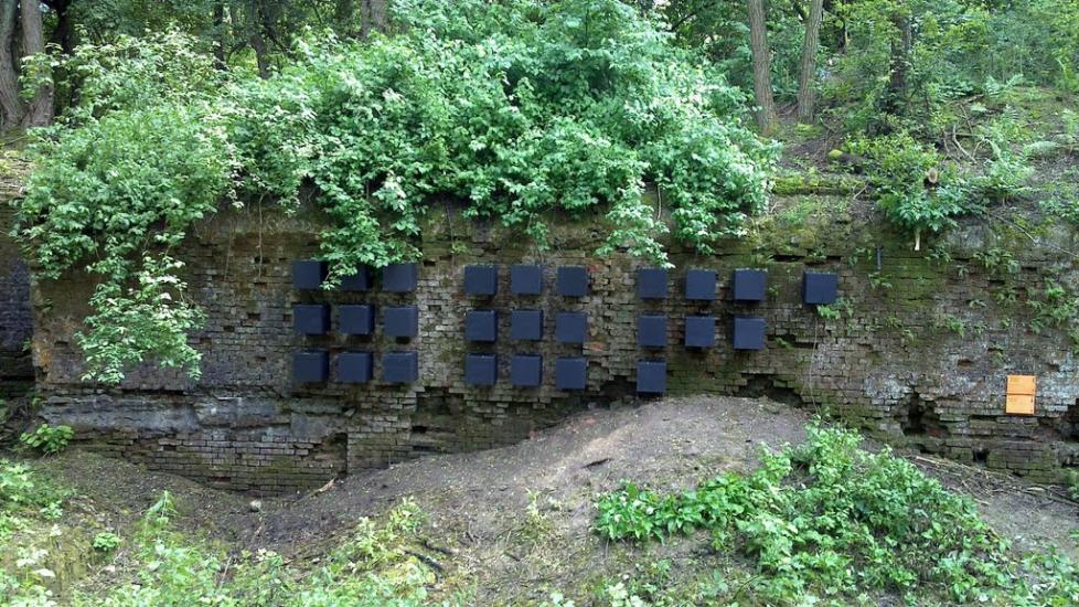 Поповичі з panoramio.com - Поповичі