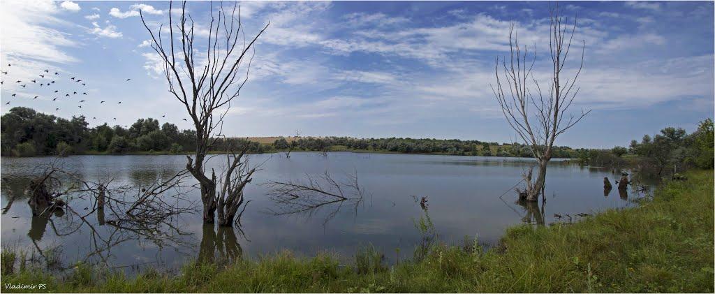 Балахівка з panoramio.com - Балаховка