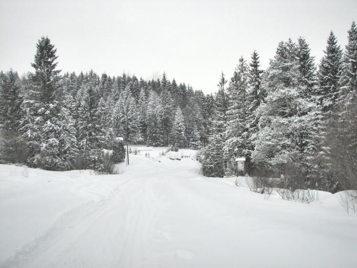 Нижня Яблунька з panoramio.com - Нижня Яблунька