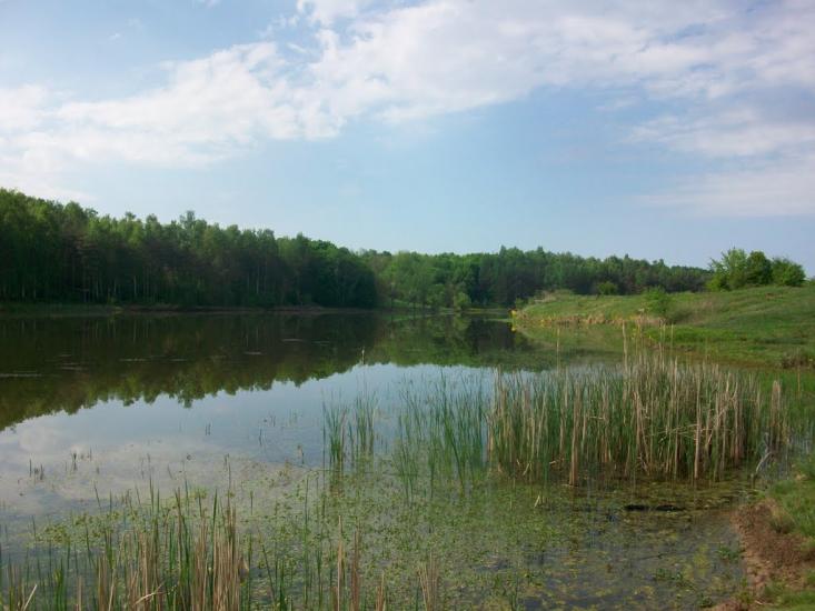 Ковалівка з panoramio.com - Ковалівка