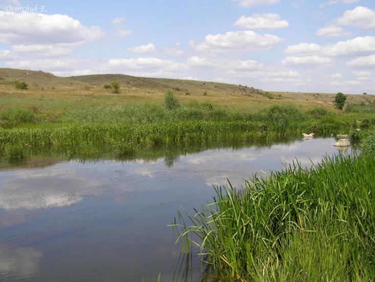 Недайвода з panoramio.com - Недайвода