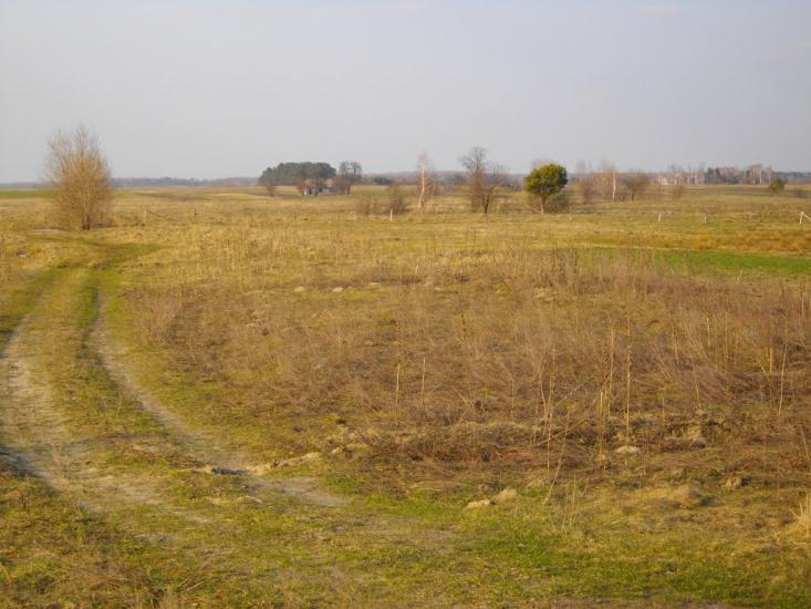 Озеро з panoramio.com - Озеро