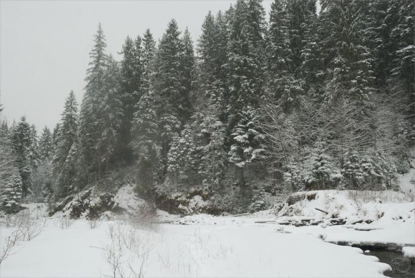 Згари з panoramio.com - Згары