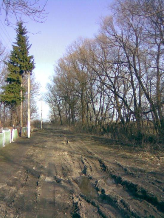 Раціборівка з panoramio.com - Рациборовка